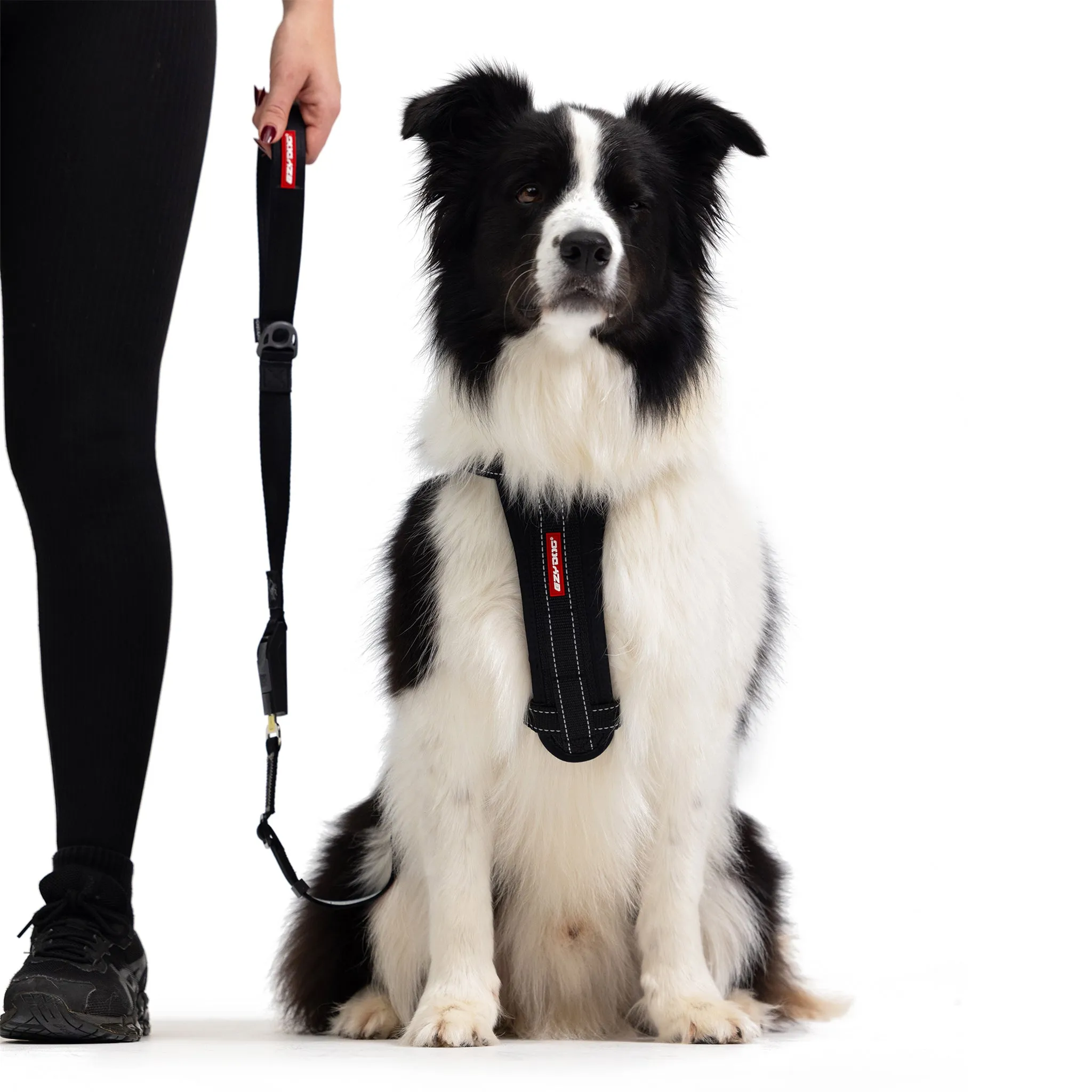 2 in 1 Car Leash Dog Seatbelt