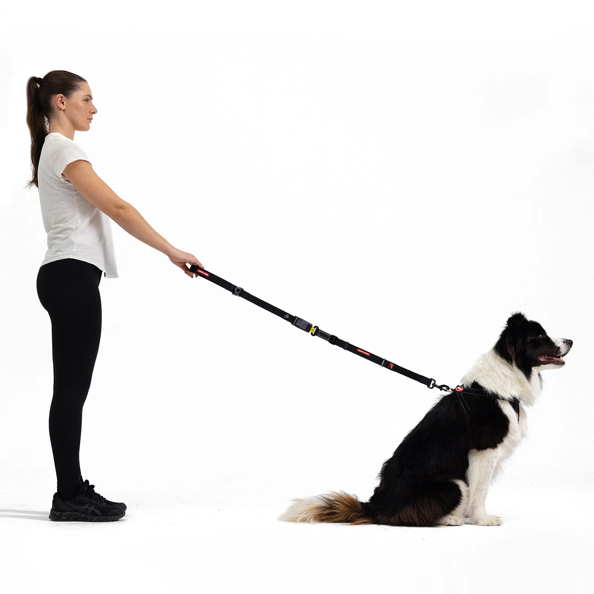 2 in 1 Car Leash Dog Seatbelt