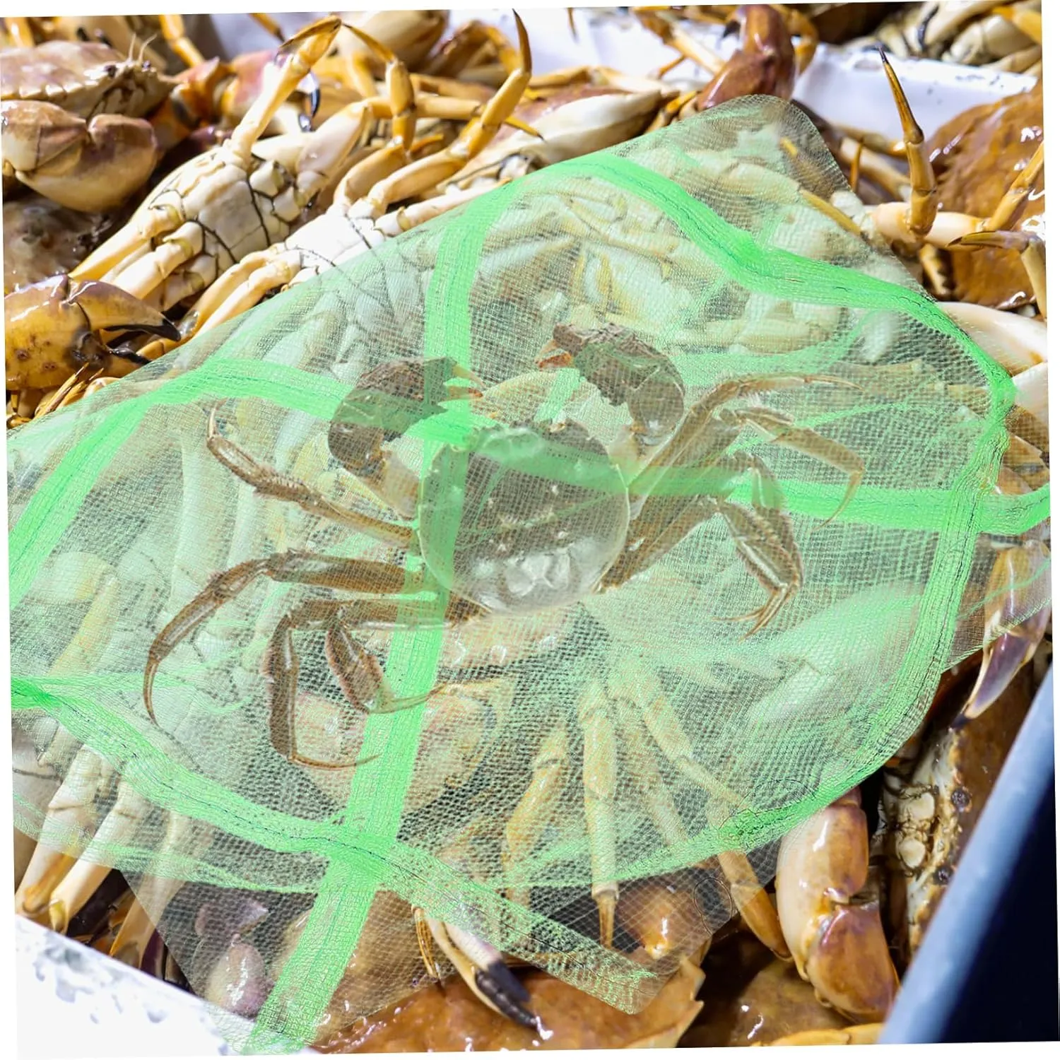 20pcs Lightweight Crab Net Bags Breathable Mesh Fishing Supplies for Catching Crabs Quick-drying Design for Outdoor Use for Fishing and Storage