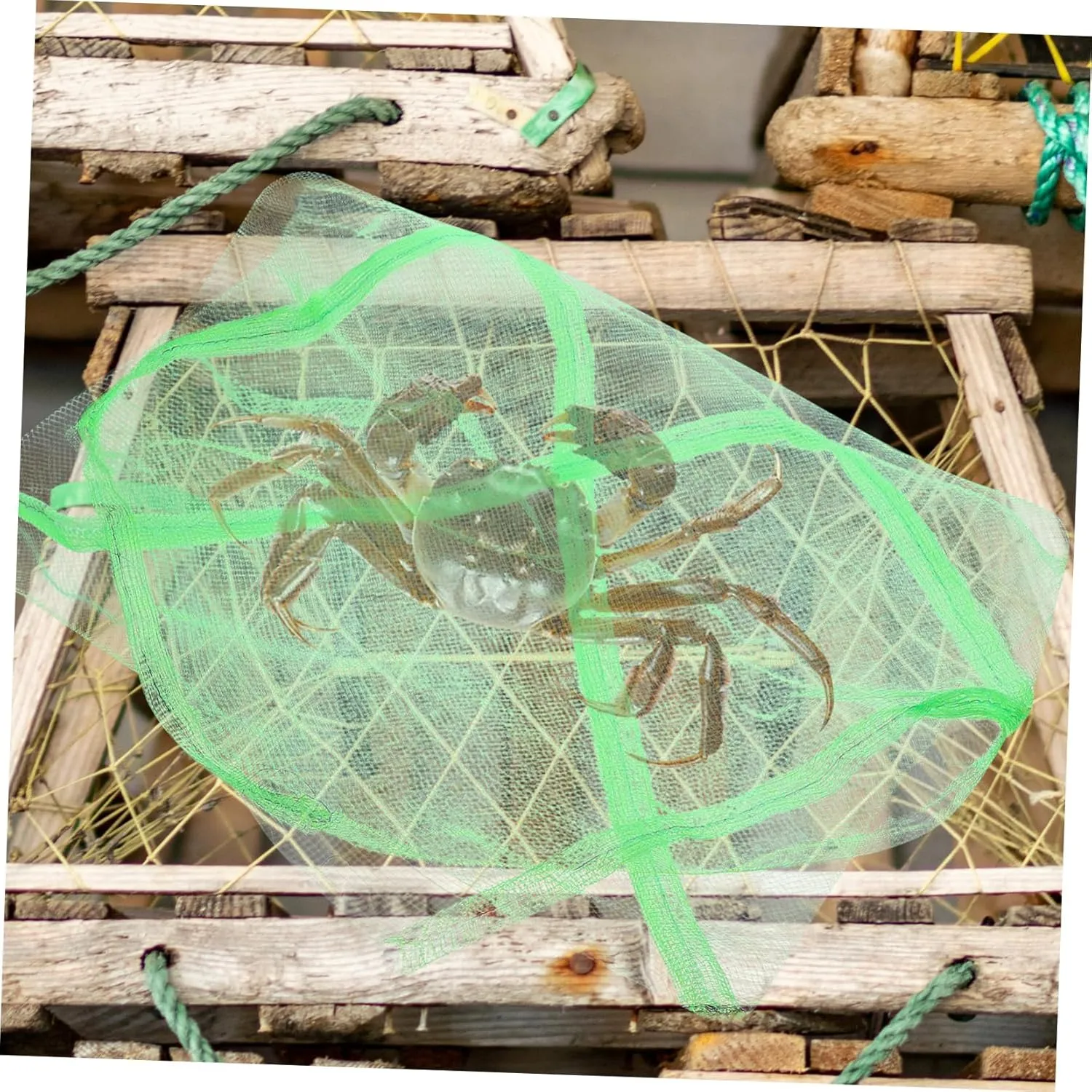 20pcs Lightweight Crab Net Bags Breathable Mesh Fishing Supplies for Catching Crabs Quick-drying Design for Outdoor Use for Fishing and Storage