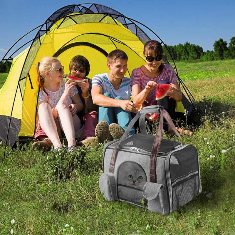 Anti Scratch Pet Carrier For Small Pets