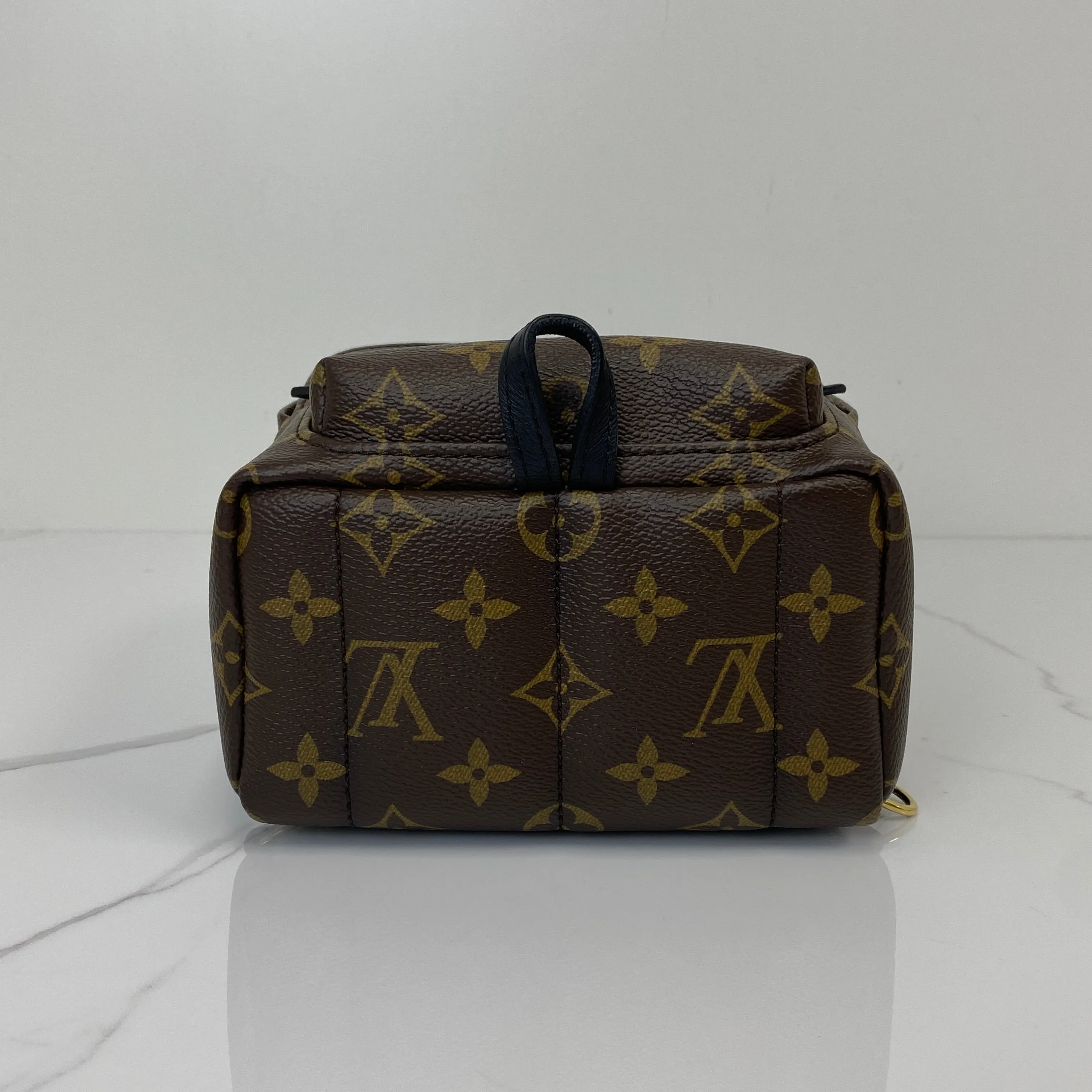 Comprehensive catalog Springs Palm Mini Vuitton Comprehensive selection Backpack Louis