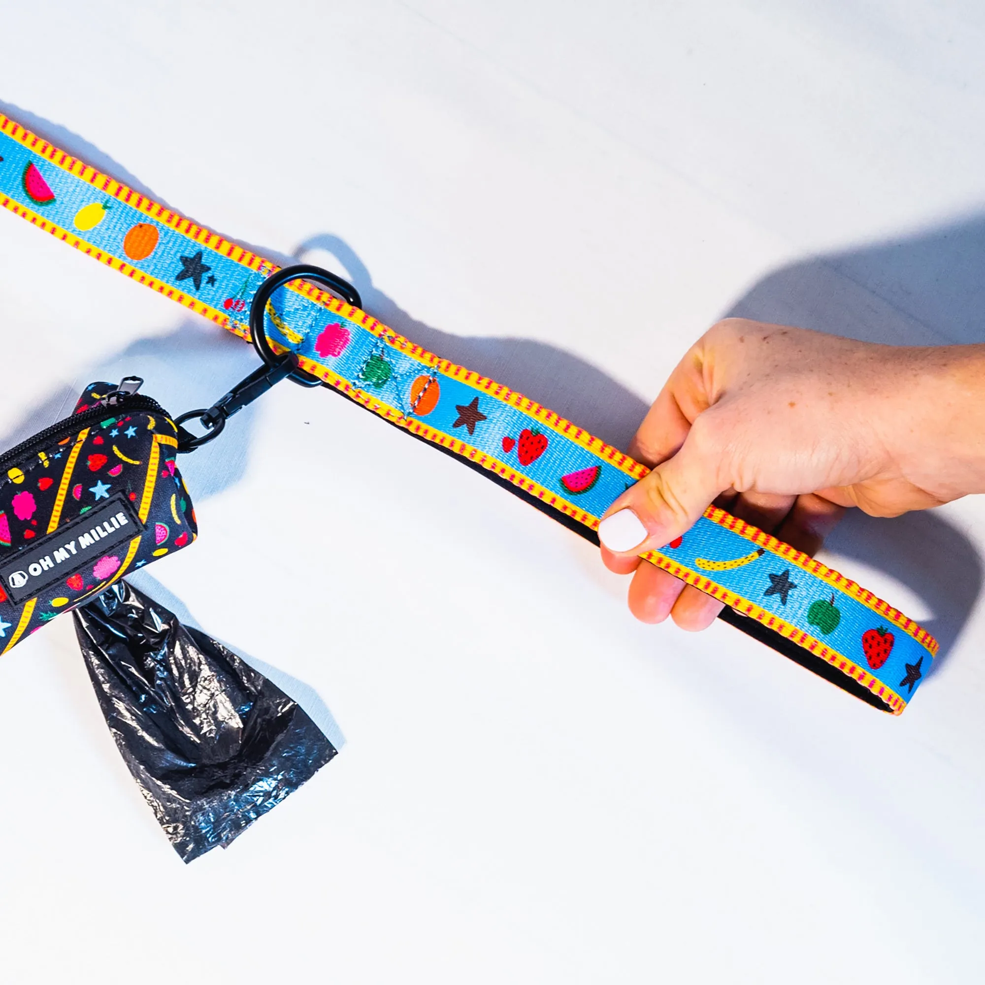 Dancing Fruits Leash, Collar, & Poop Bag Holder Set