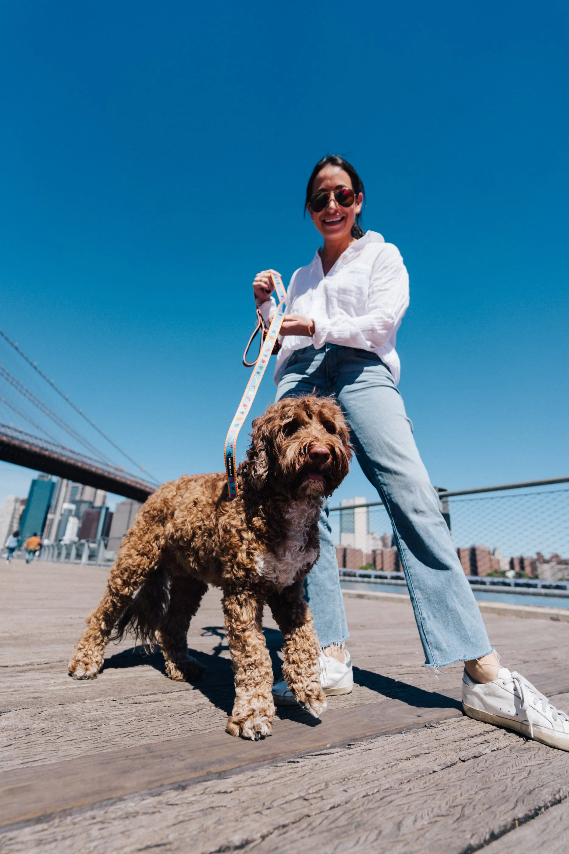 Dancing Fruits Leash, Collar, & Poop Bag Holder Set