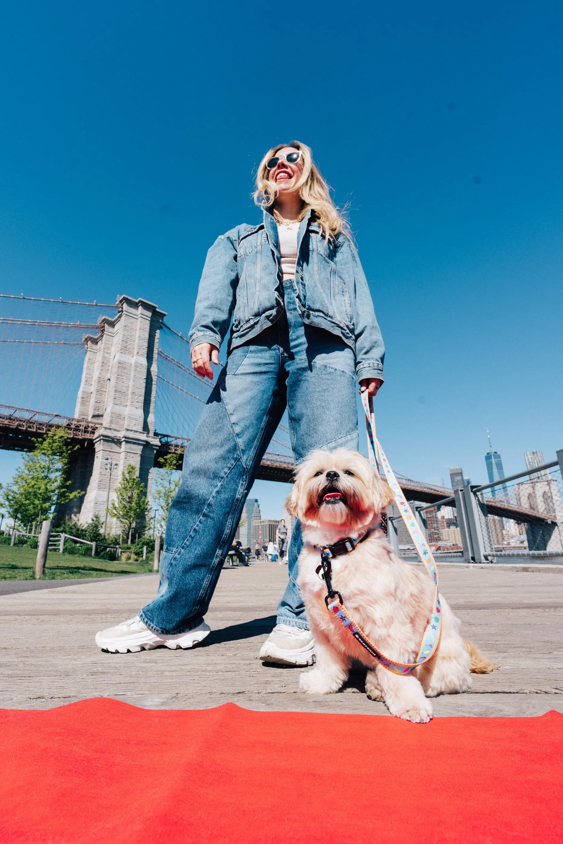 Dancing Fruits Leash, Collar, & Poop Bag Holder Set