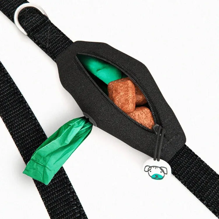 Dog Lead With Poop Bag Holder - Rainbow