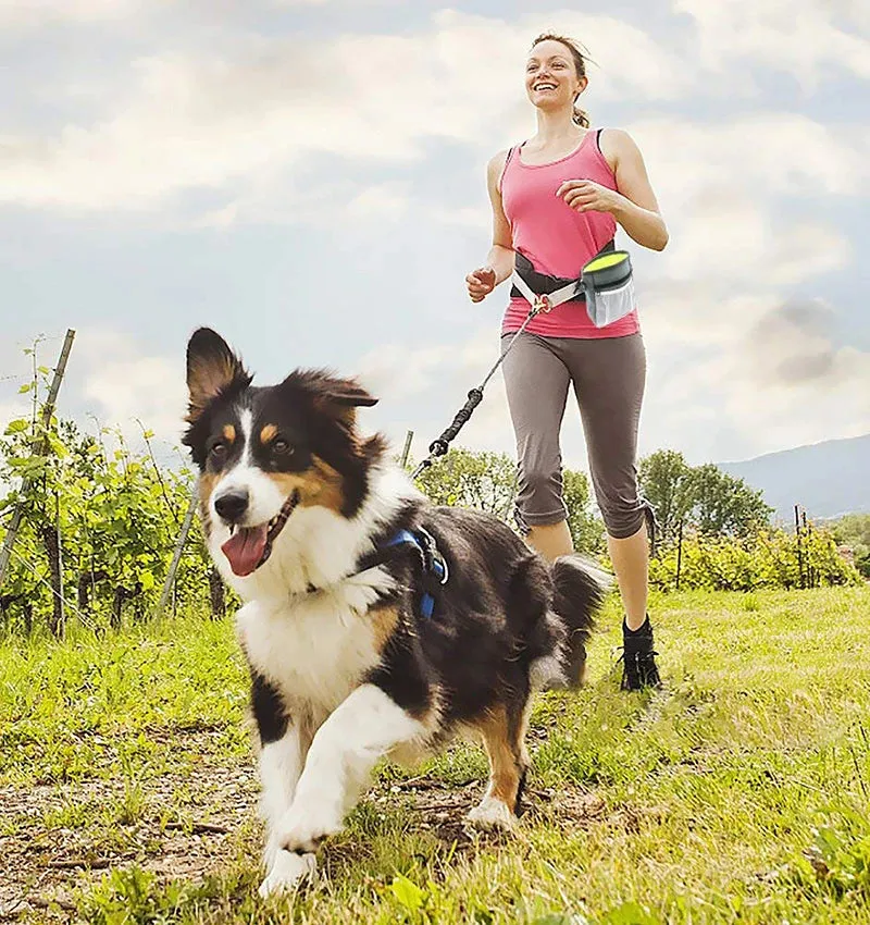 Dog Treat Bag With Built-in Poop Bag Dispenser