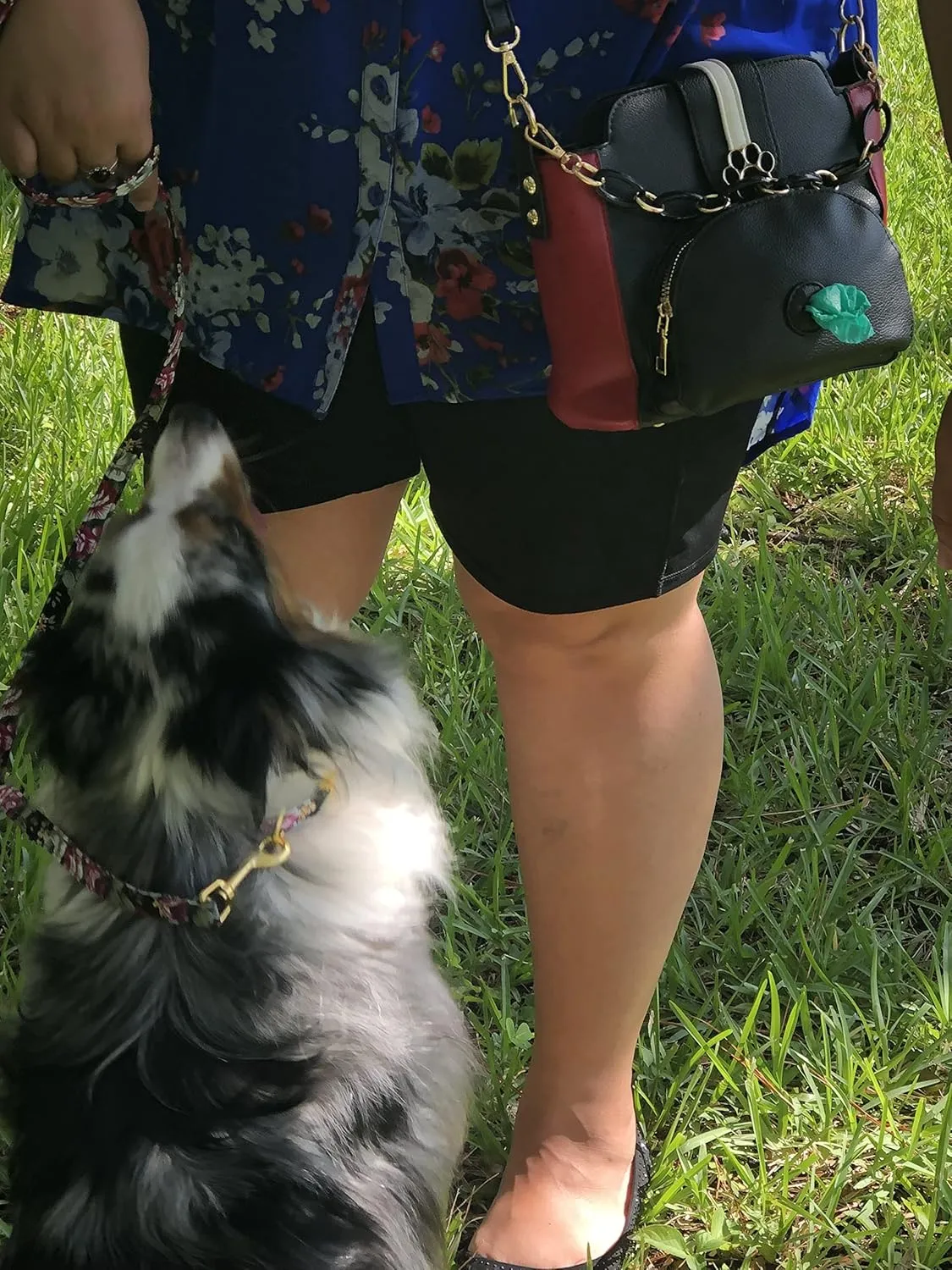 Dog Walking Bag - Poop Bag Dispenser - Dog Treat Bag - Hand Free Wear 3 Ways