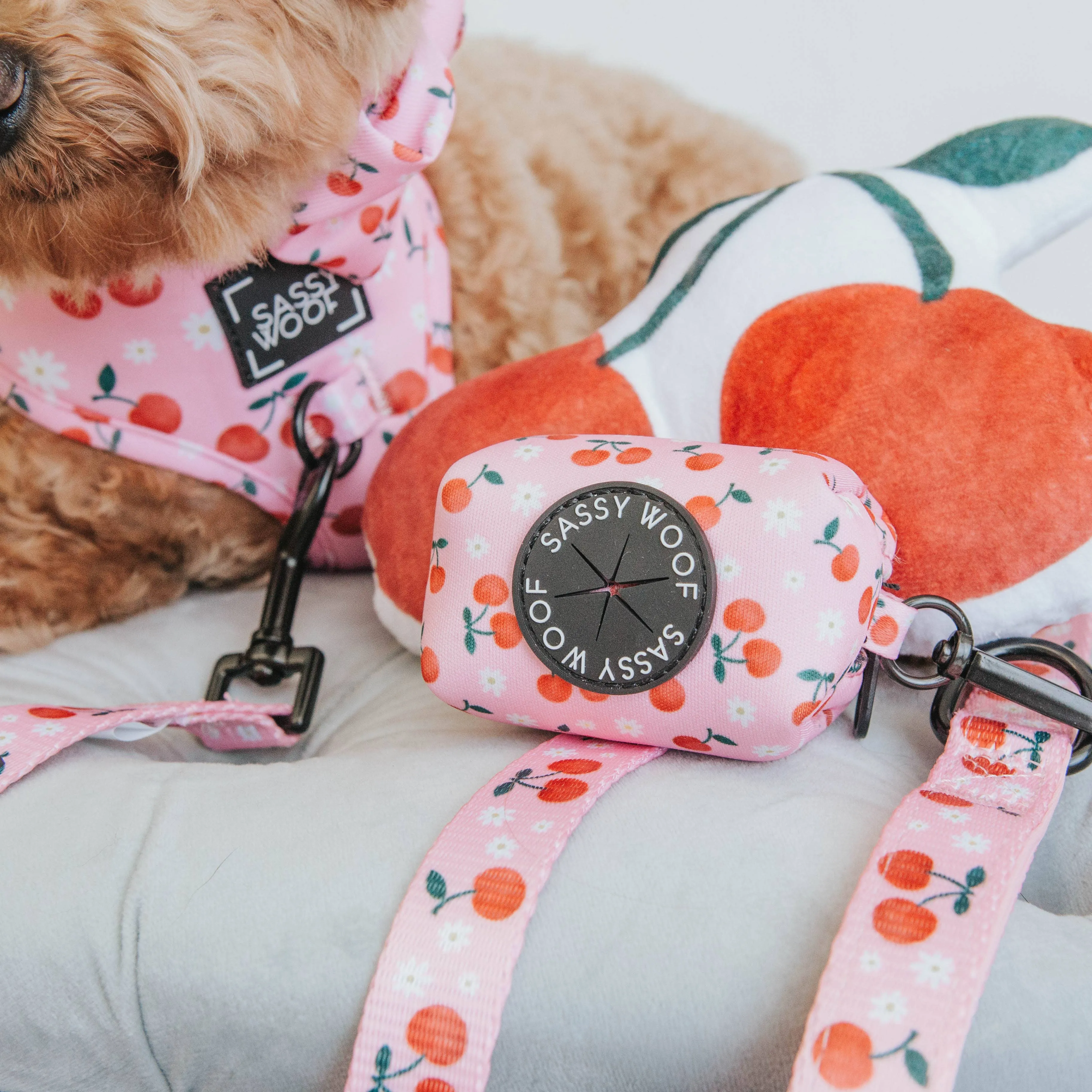 Dog Waste Bag Holder - Mon Cherry (Fruits)