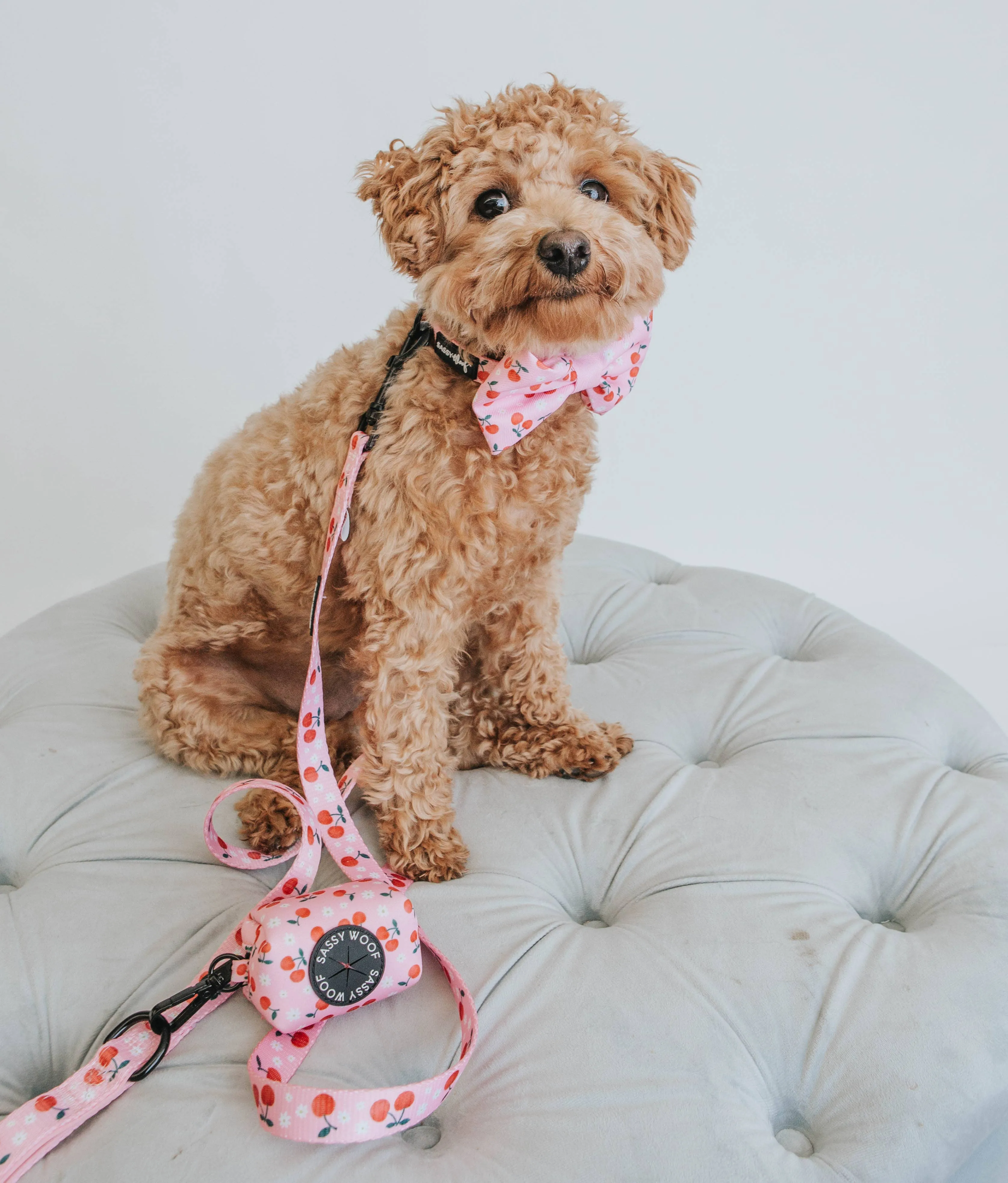 Dog Waste Bag Holder - Mon Cherry (Fruits)