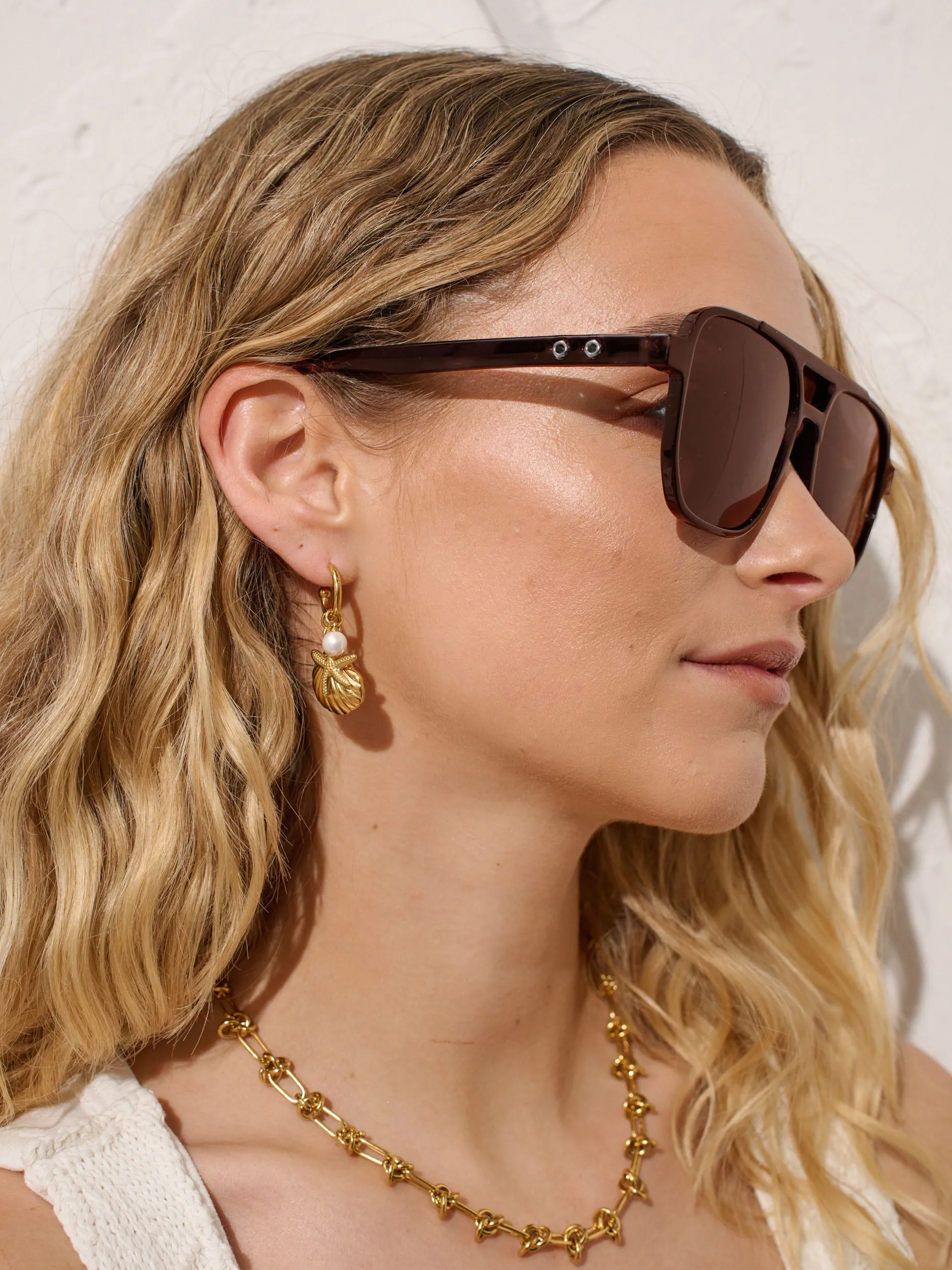 Eyelet Aviator Sunglasses in Brown