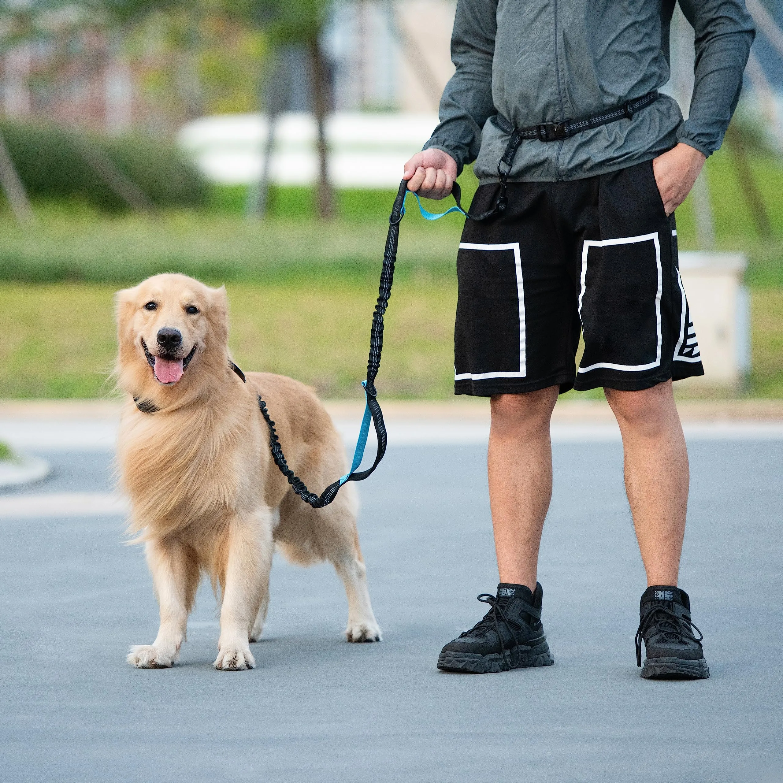 Hands Free Dog Leash with Storage Pouch