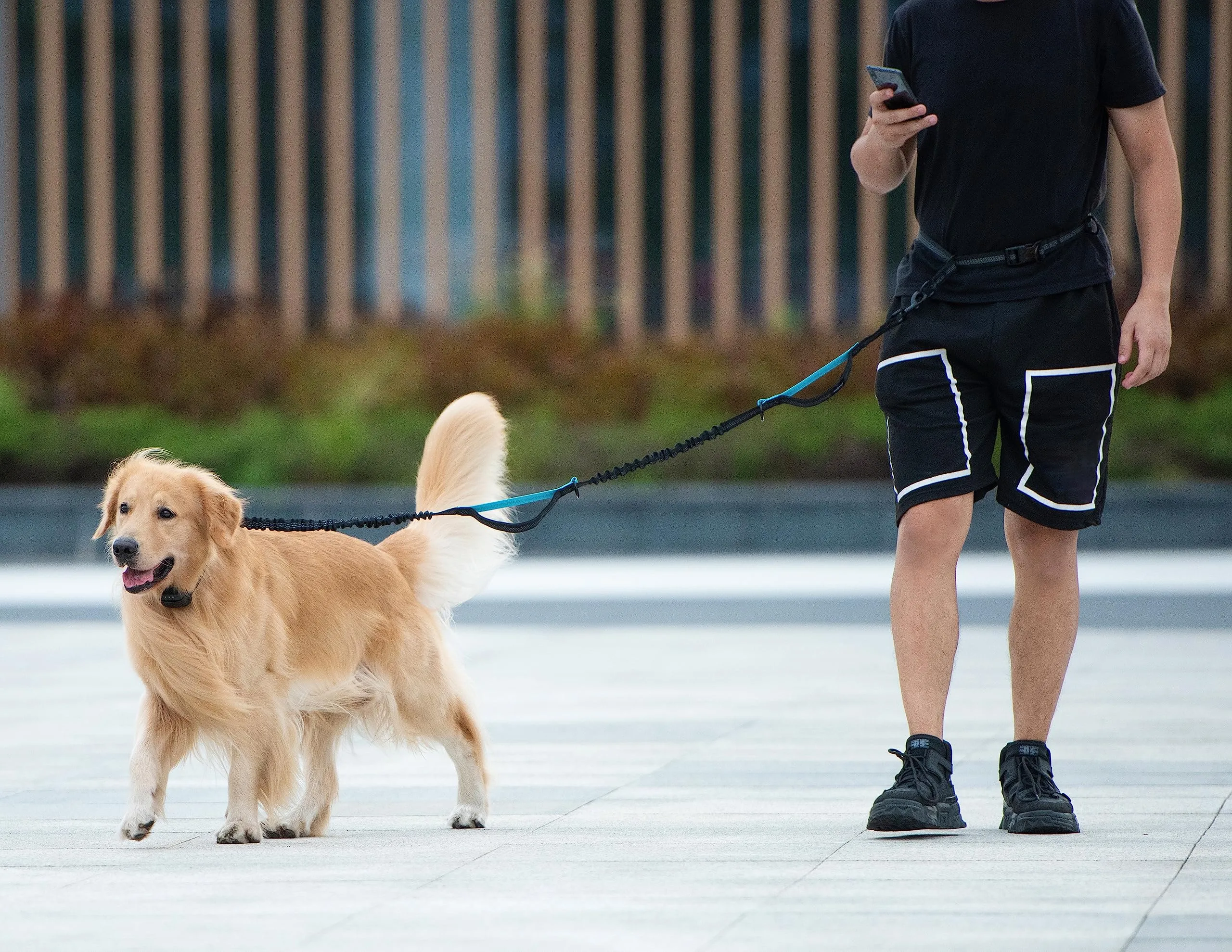 Hands Free Dog Leash with Storage Pouch