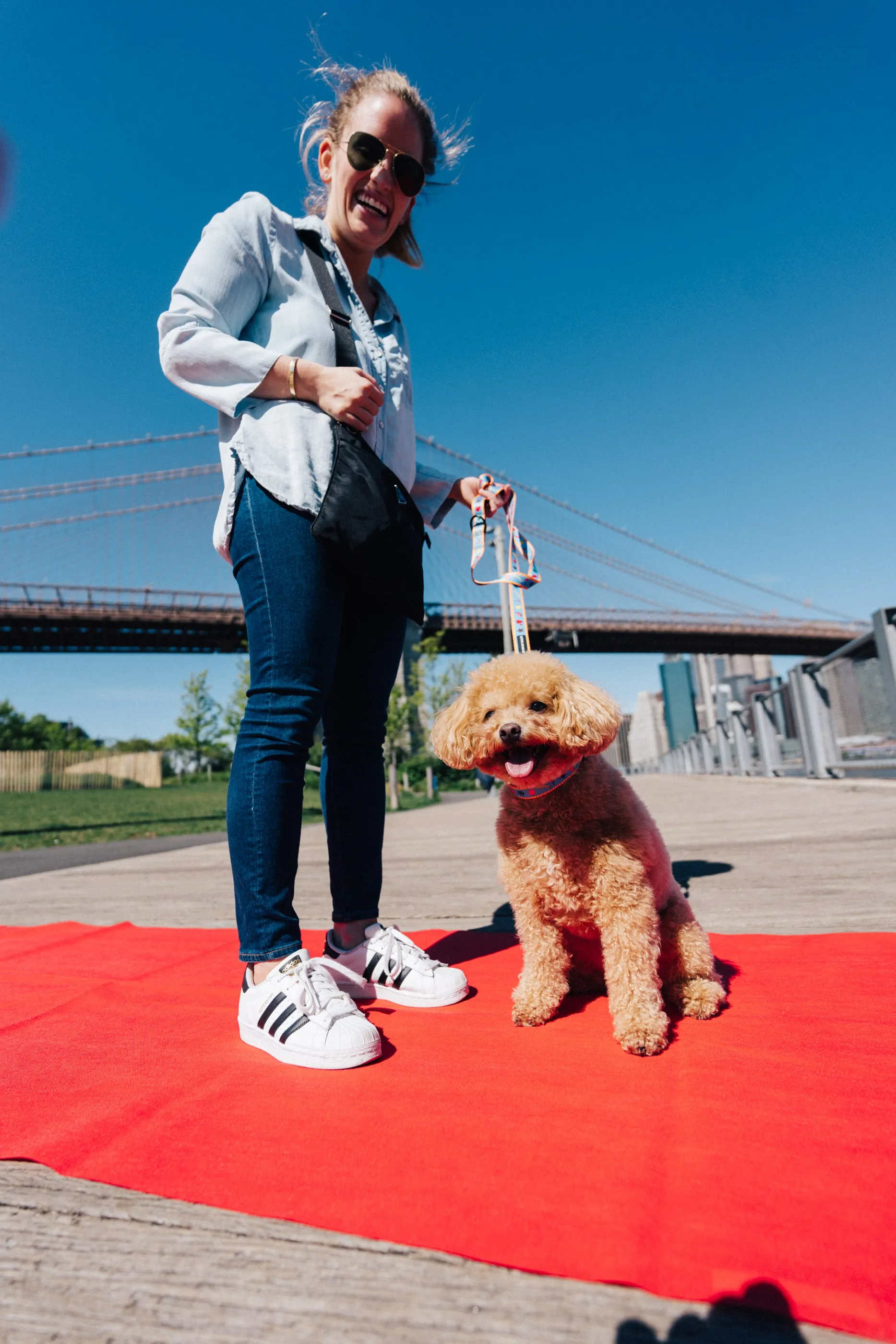 Happy Walking Leash, Collar, & Poop Bag Holder Set