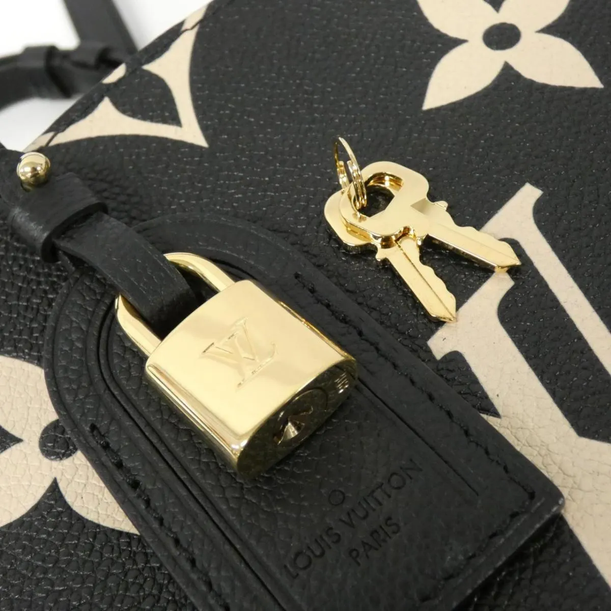 Louis Vuitton Monogramm Amplant Puti Paré PM M58913 Bag