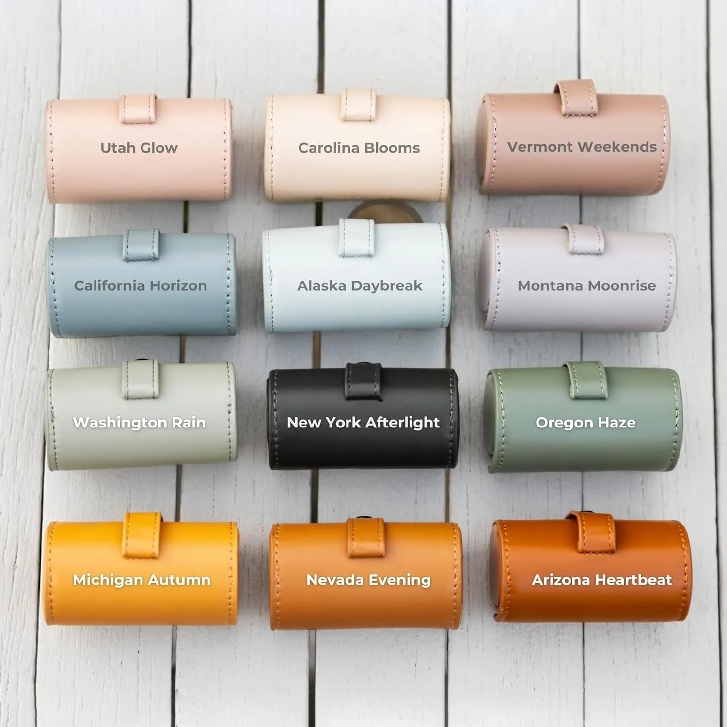 MADE TO ROAM On Dooty Pack - Premium Dog Poop Bag Holder for Leash, Vegan Leather Waste Bag Dispenser for Poop Bag Rolls - Washington Rain