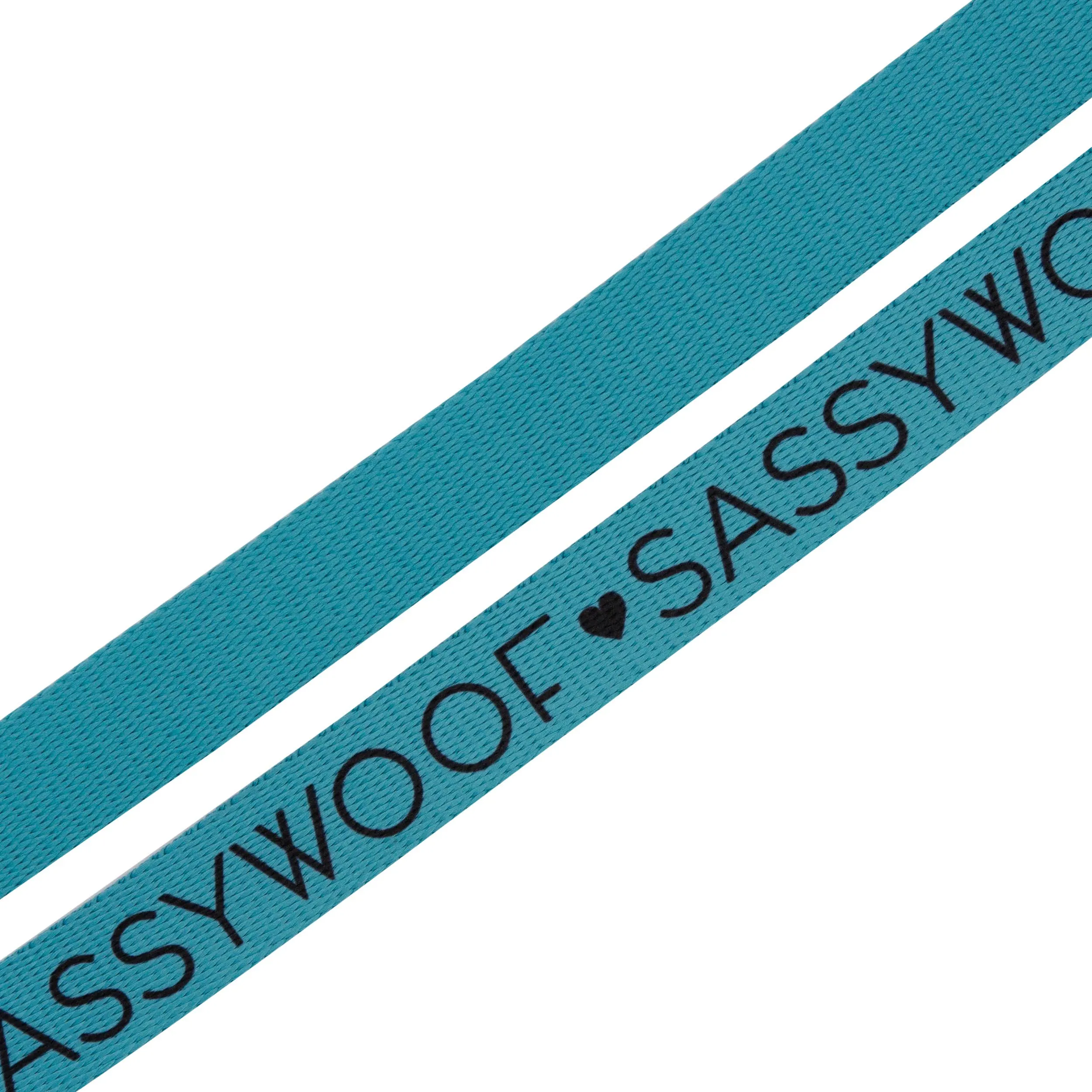 Neon Blue Leash