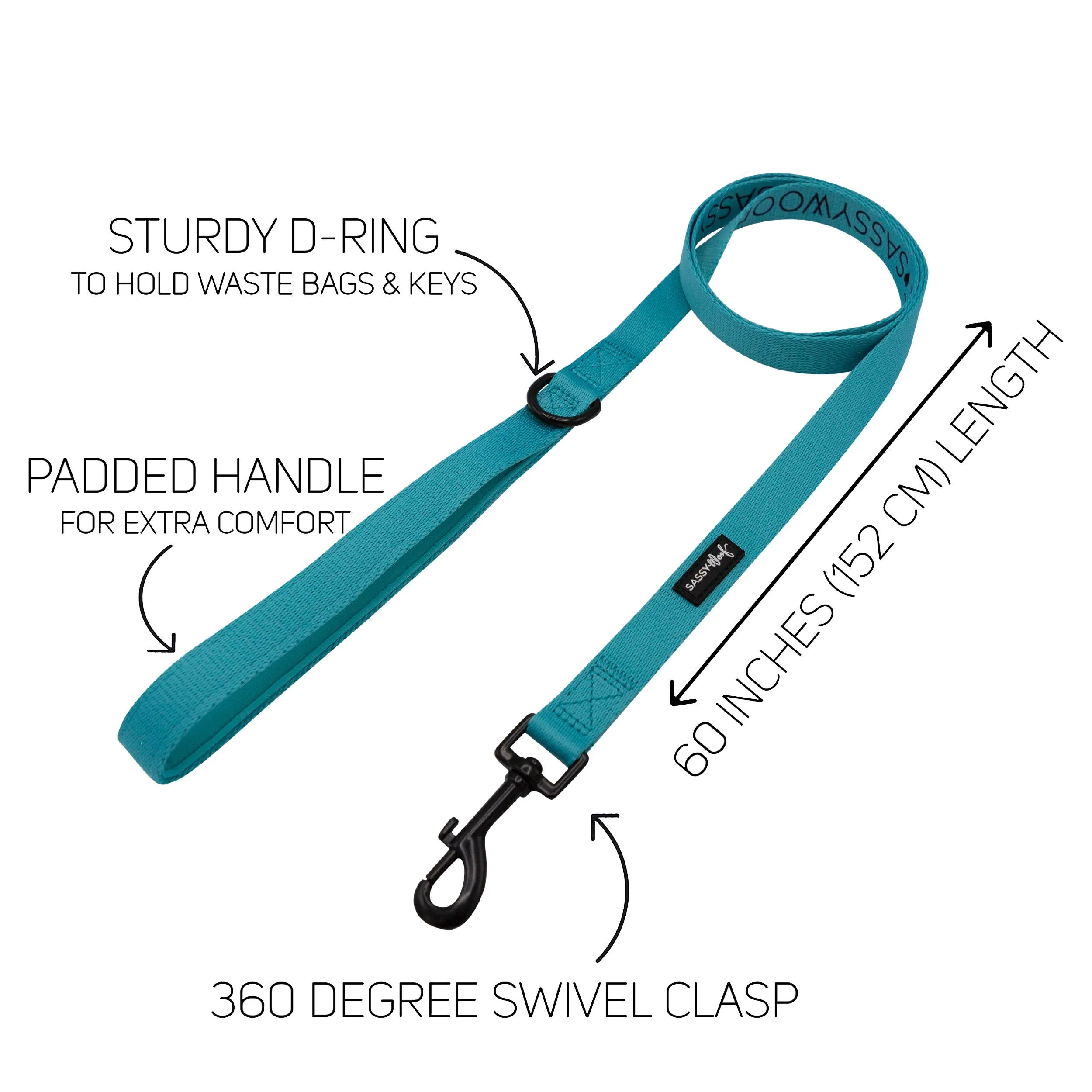 Neon Blue Leash