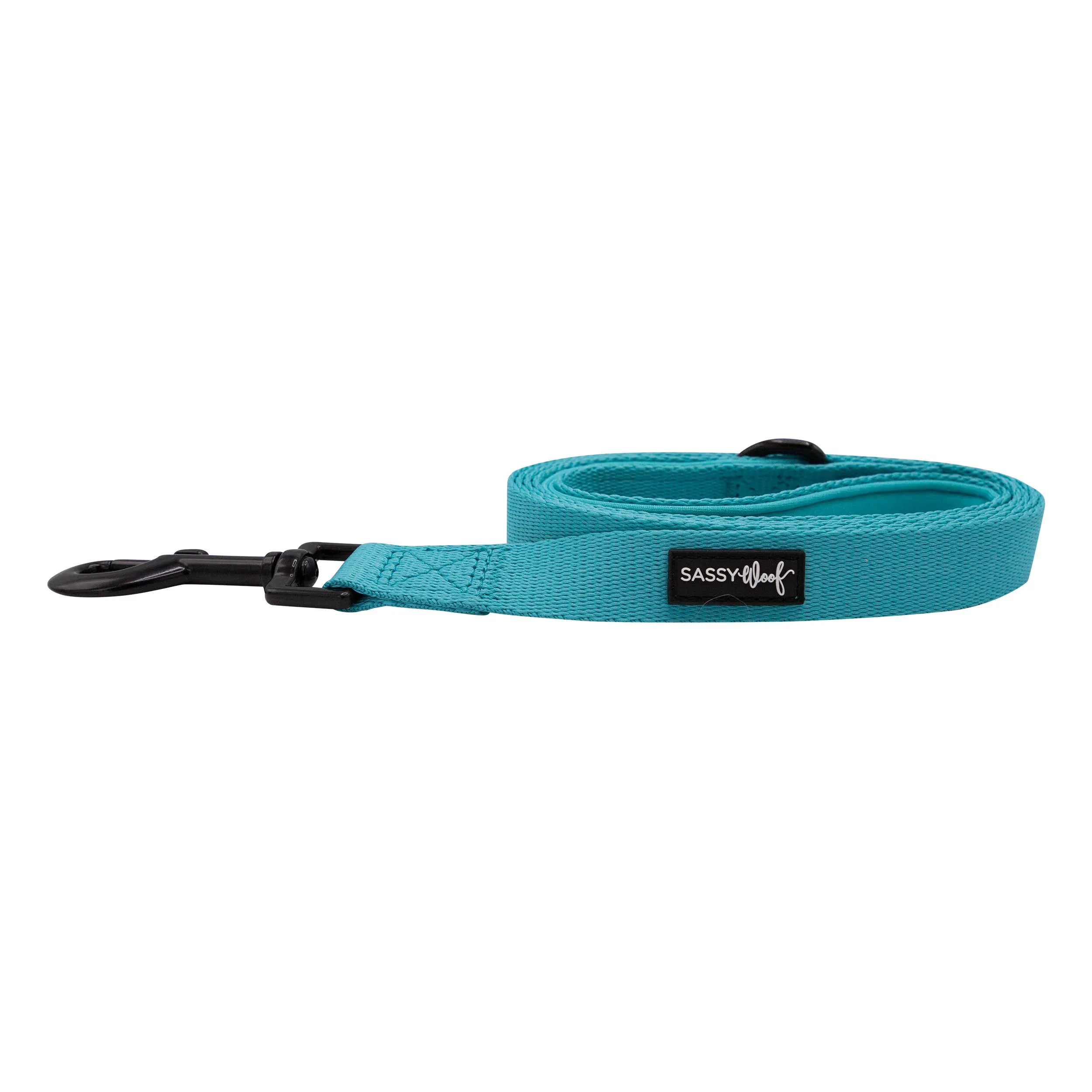 Neon Blue Leash
