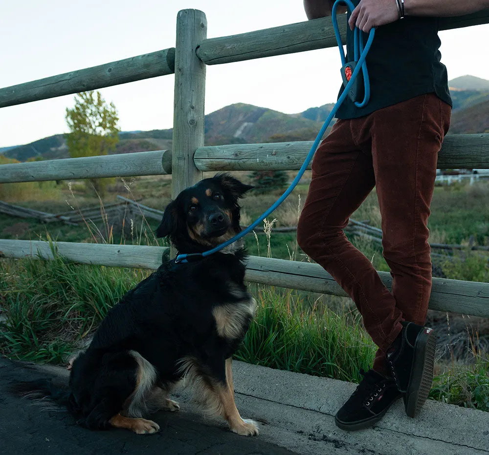 Oval Rope Leash with Integrated Bag Compartment