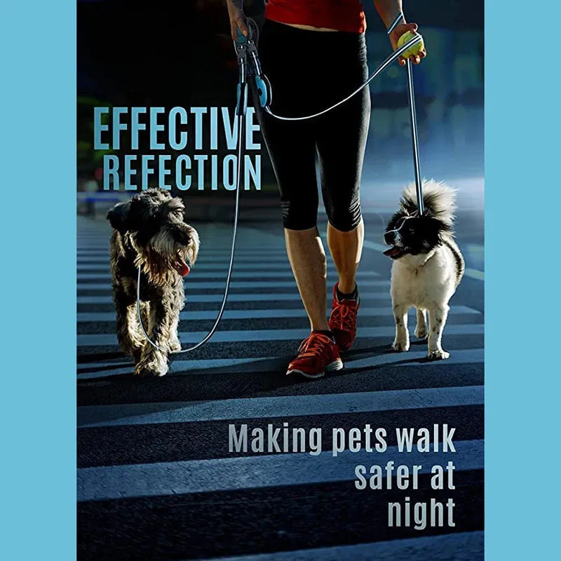 Reflective Nylon Hands Free Dog Walking Leash