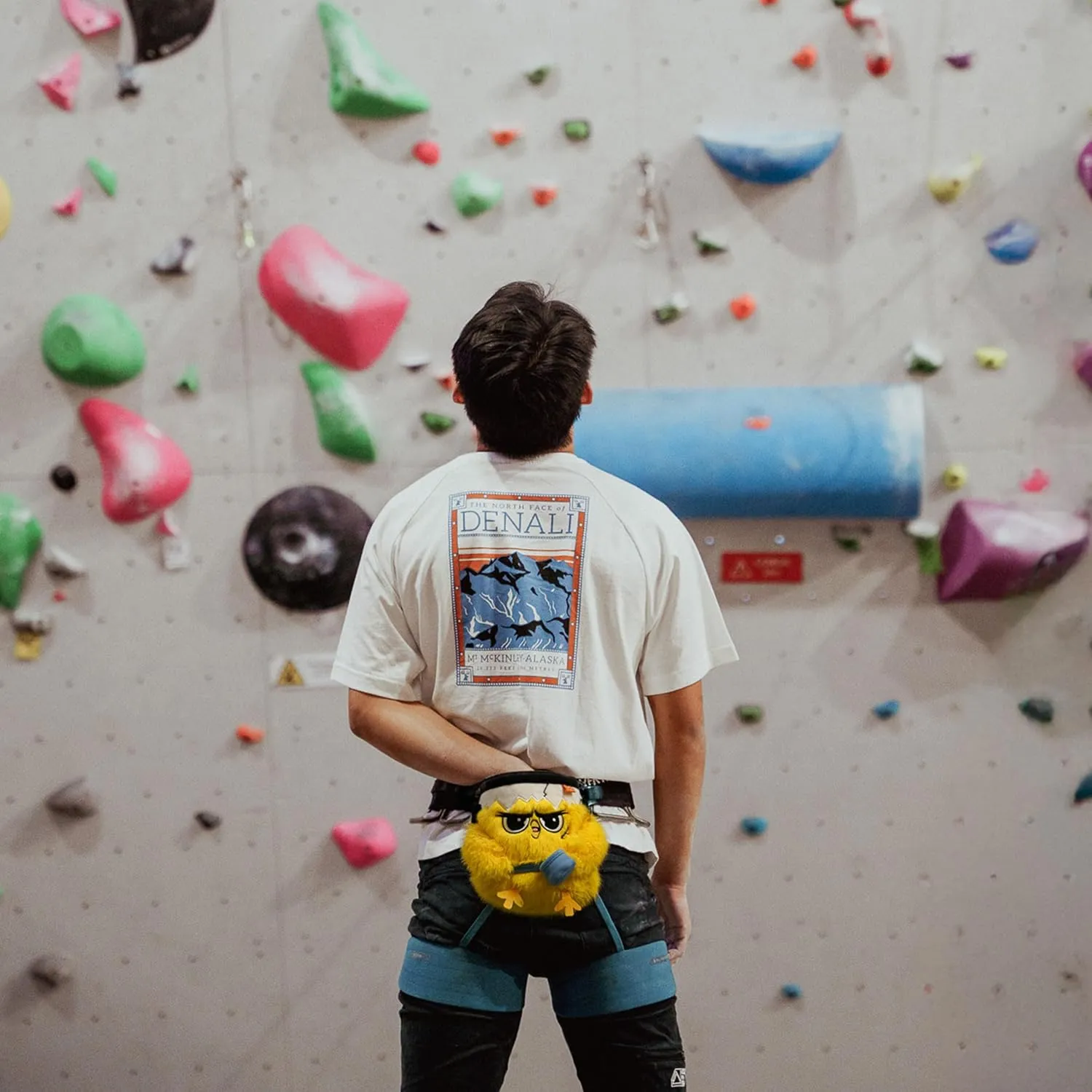 Rock Climbing Chalk Bags