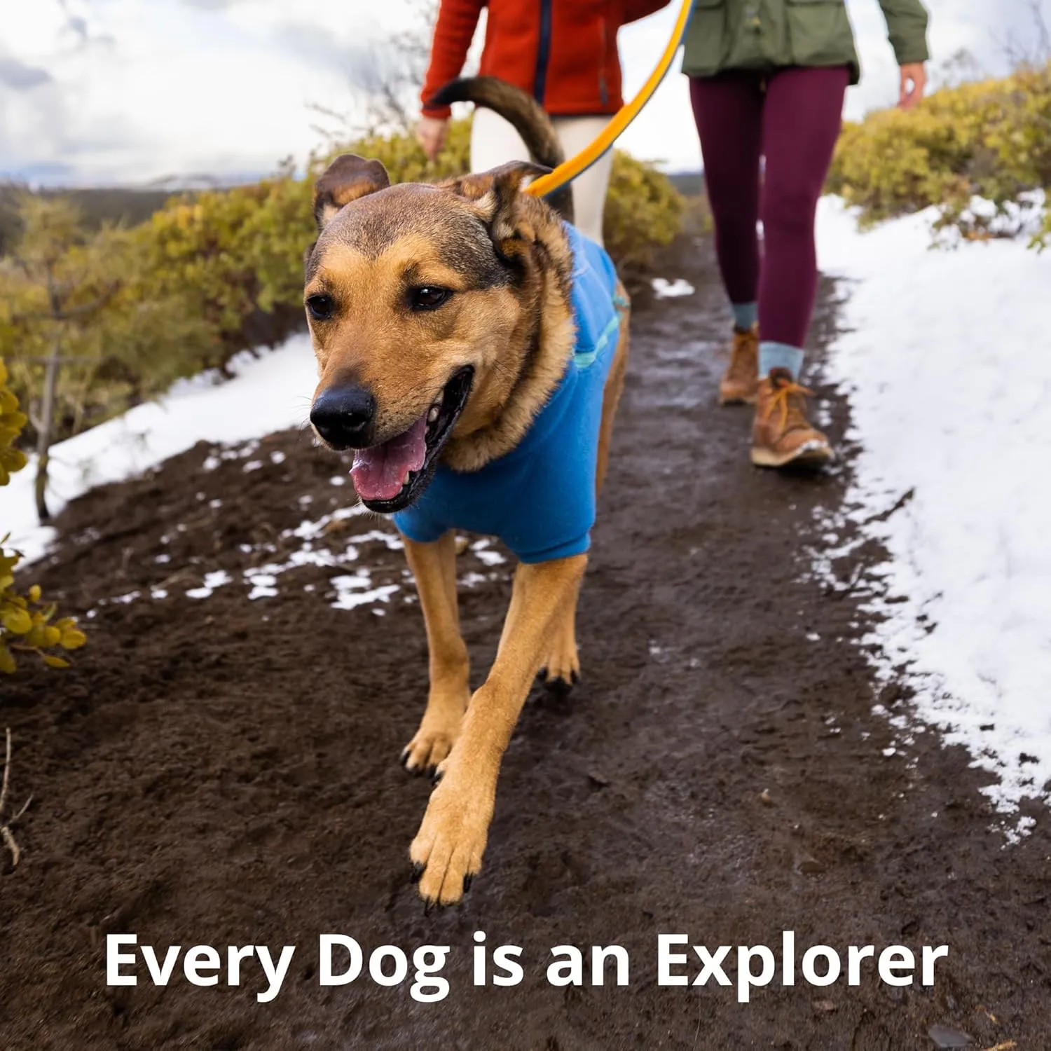 Ruffwear, Roamer Bungee Dog Leash for Running, Biking or Hiking, Can be Used Hand-Held or Hands-Free, Yellow Snow, 7.3'-11'