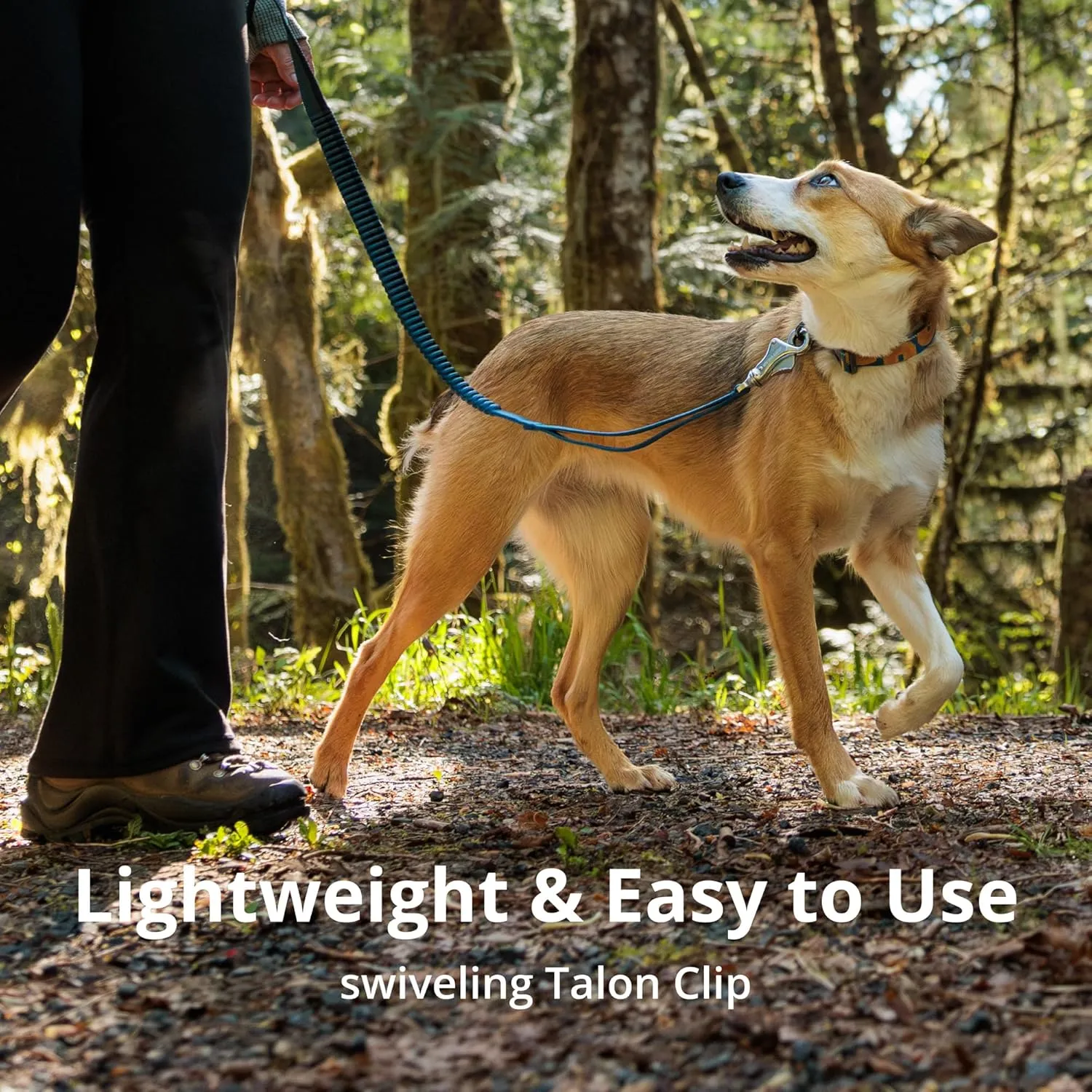 Ruffwear, Roamer Bungee Dog Leash for Running, Biking or Hiking, Can be Used Hand-Held or Hands-Free, Yellow Snow, 7.3'-11'