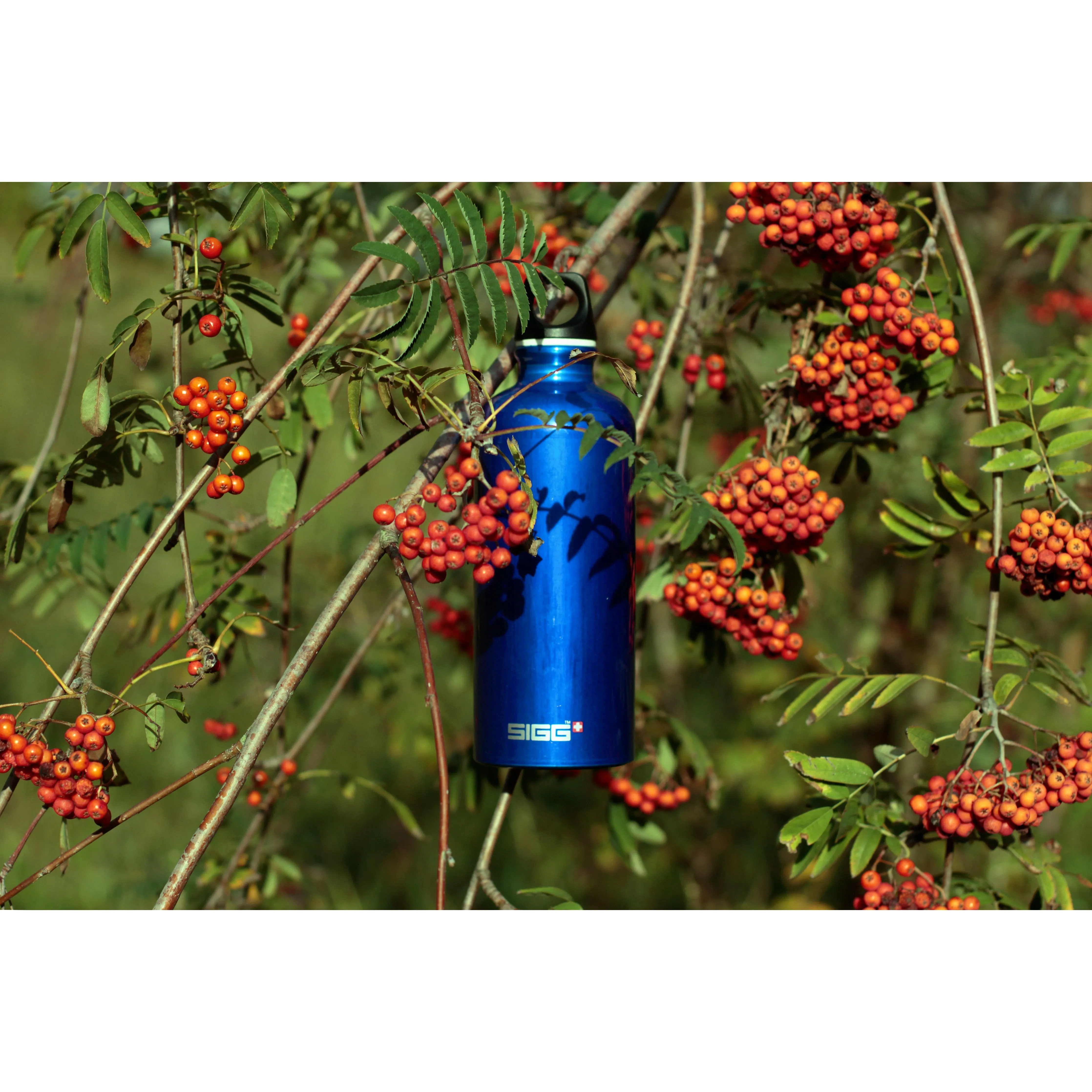Sigg Traveller Water Bottle