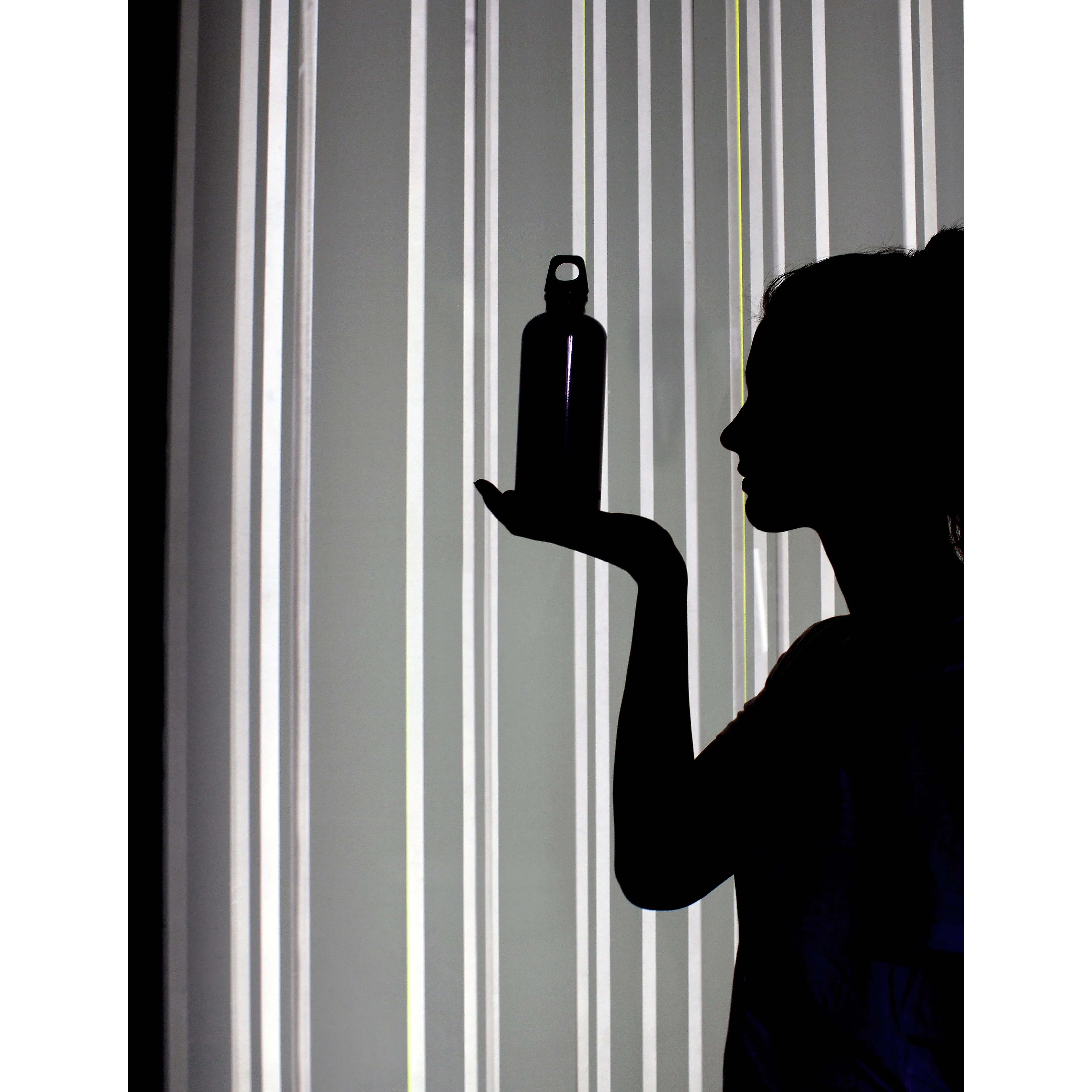 Sigg Traveller Water Bottle