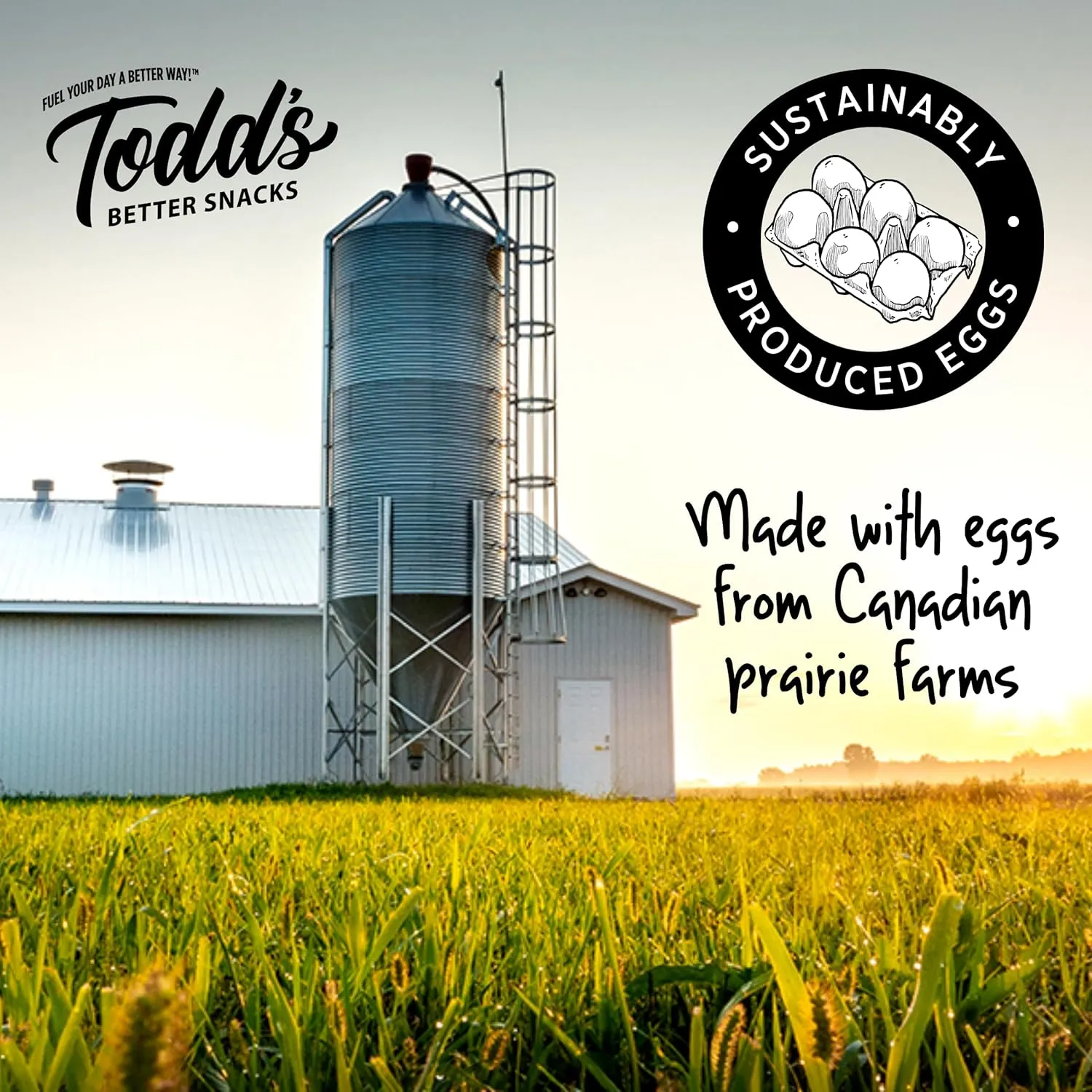 Todd's Better Snacks Egg-Cellent Protein Puffs, Sea Salt & Vinegar, 1.2 Oz (Pack of 10), Made with Egg Whites, 12g Protein, Gluten Free Healthy Snack