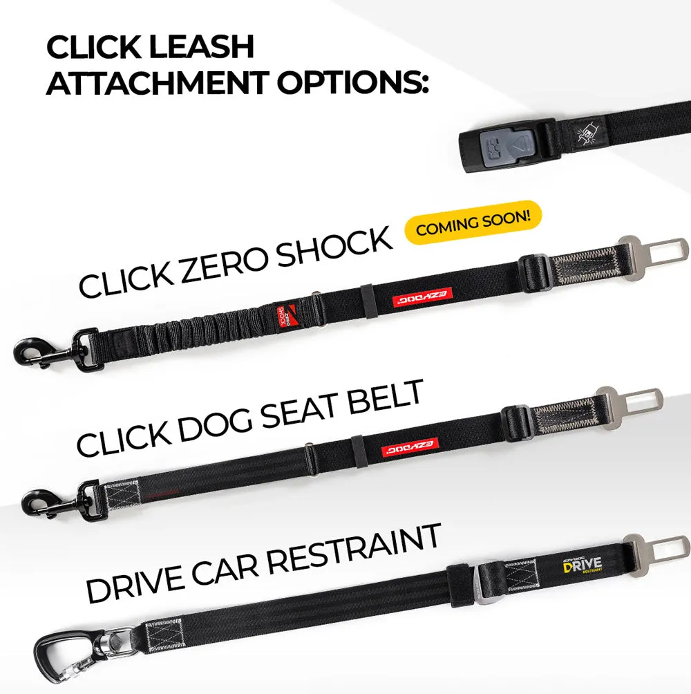 Travel Car Click Leash